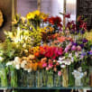 Hedge Fine Blooms store photo