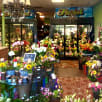 Enchanted Florist & Gifts store photo