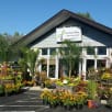 The Potted Plant store photo