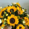 Sander Ranch Flowers store photo