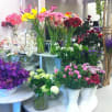 Beverly Hills Floral Design Center store photo