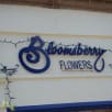 Bloomsberry Flowers LLC store photo