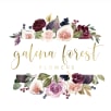 Galena Forest Flowers store photo
