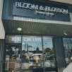 Bloom & Blossom store photo