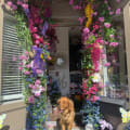 Marie's Floral Designs store photo