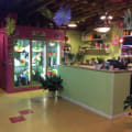 Back To The Fuchsia store photo