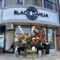 Black Dahlia  store photo