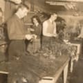 Savington & Hill Floral Co., Ltd. store photo