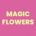 Magic Flowers Est 21 store photo