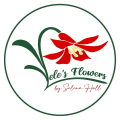 Lele's Flowers By Selena Hull store photo