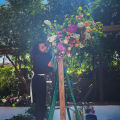 Magnolia Sage Floral Events store photo
