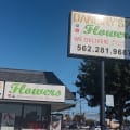 DANEIRY'S FLOWERS store photo