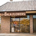 Kara Bala Team