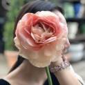 Vivian ViVI Flower