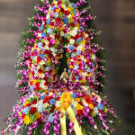 Juquila Florist