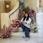 Dianas Flowers