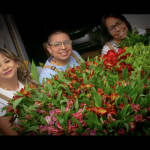Evara Nature Group