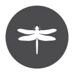 The Bloomin' Dragonfly Florist