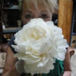 Jane's Roses & Flowers