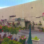 Andy's and Pennewell's Flower Shop