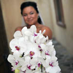 Matteson's Florist