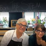 Above the Stem, Inc