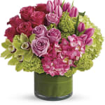 House of Arnold Florist