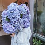 Kendall Flower Shop