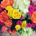 Xavier's Florist