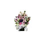 Spring Flowers