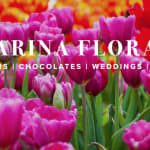 Carina Floral
