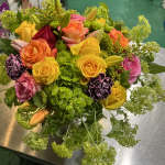 Citywide Flower Plants 