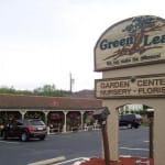 Green Lea