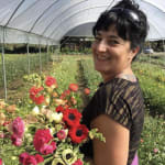 California Sister