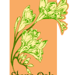 Stone Oak Florist