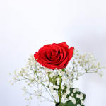 Designer Flowers by Rose