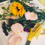 Wickman's Garden Village