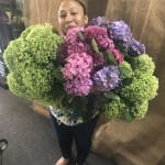 Baltimore Blossoms Studio