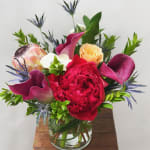 Bloom Flowers