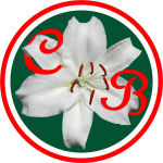 Casa Blanca Flowers