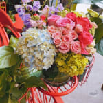Fresco Flowers