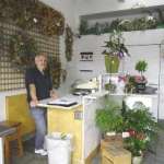 Flower Outlet & Gifts
