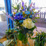 Good Earth Blooms Florist Plants and Botanical Gifts