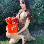 Sofia Rose Flowers