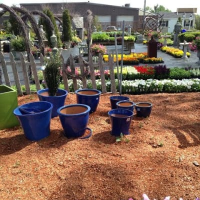 Our Photo Gallery | Gregory's Flower Shop and Garden Center