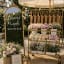 Lioness Purple Florist
