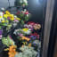 Floral Expressions