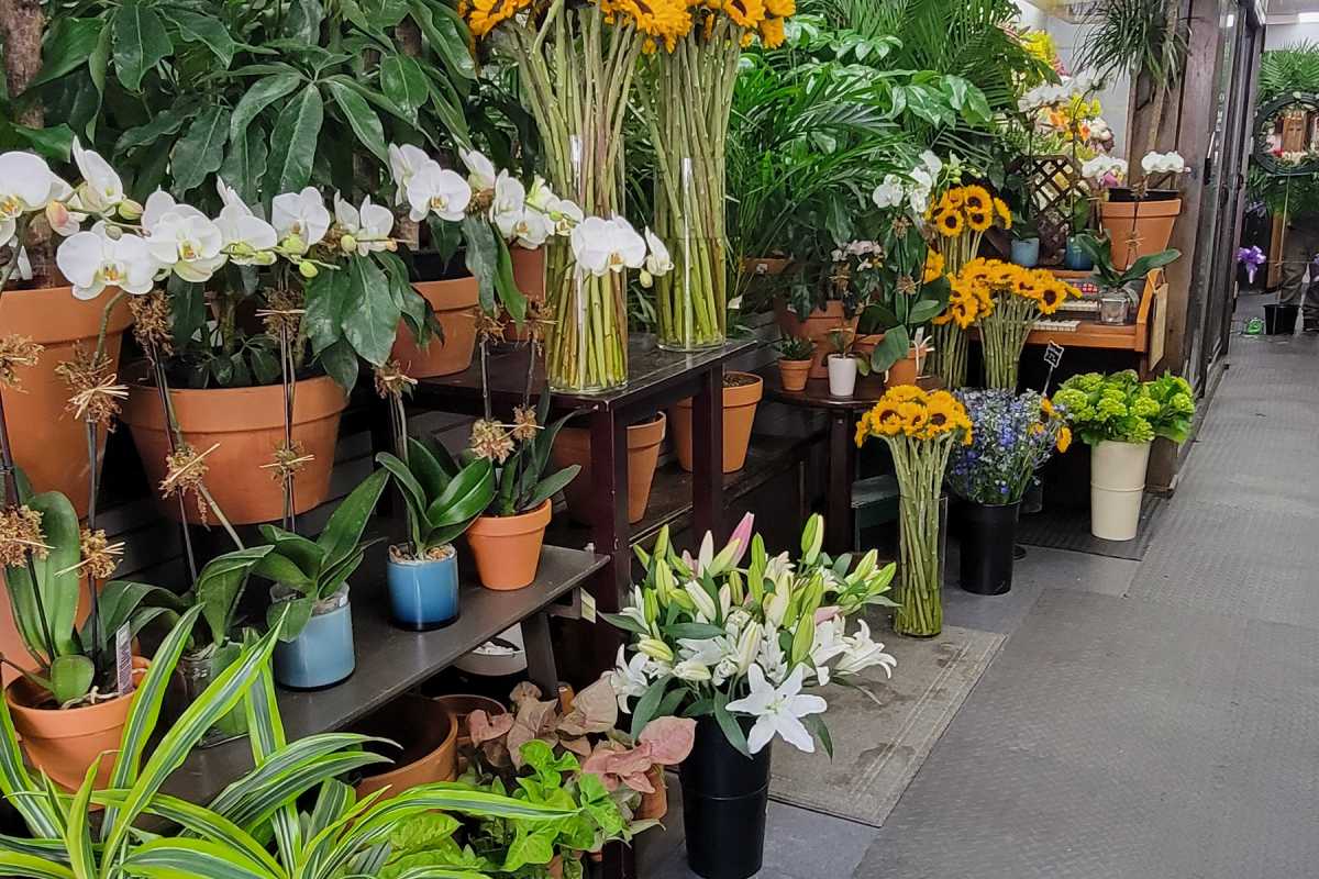 Greenpoint Floral Co., florist in Brooklyn