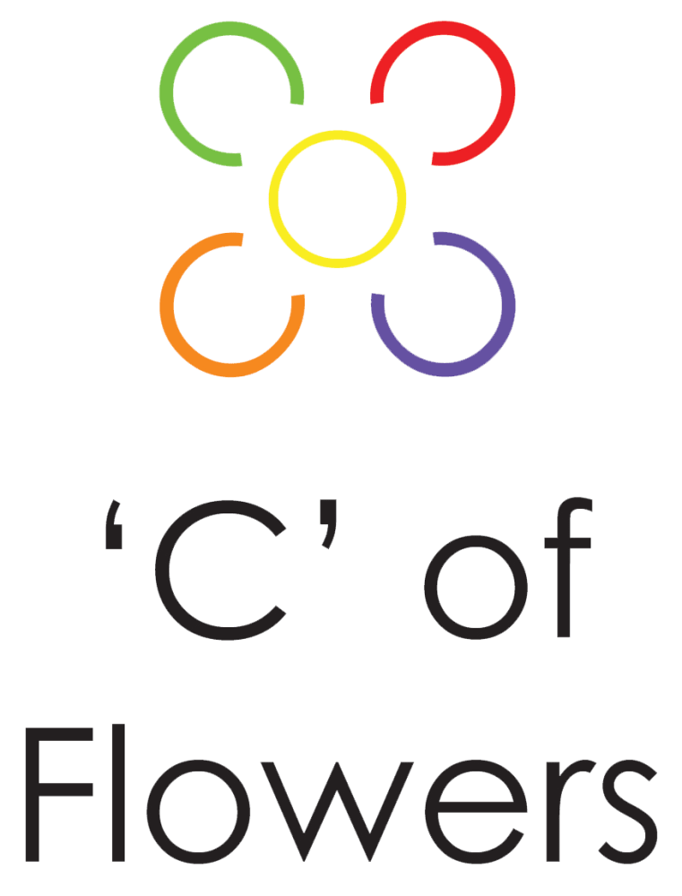 San Antonio Florist Flower Delivery by C of Flowers