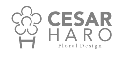 Cesar Haro Floral Design - Los Angeles, CA florist